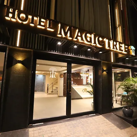 Hotel The Magic Tree - Paharganj New Delhi-3